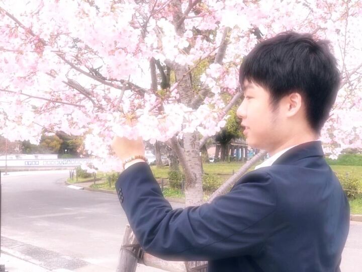桜で撮った写真